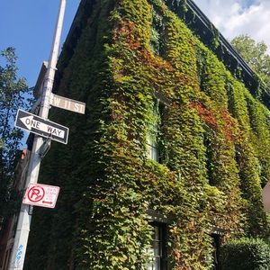 Meet your Posher, Jake